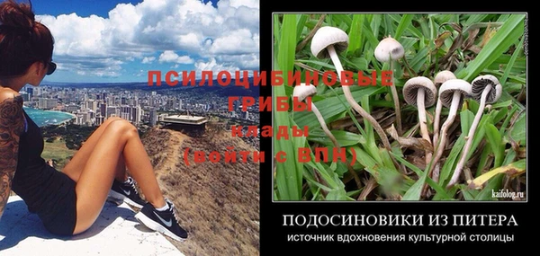 СК Киров