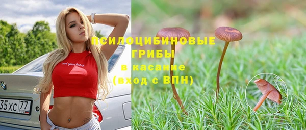 бошки Аркадак