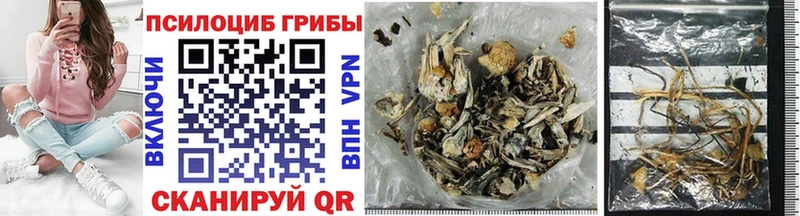 Купить где Боровичи Галлюциногенные грибы ЛСД